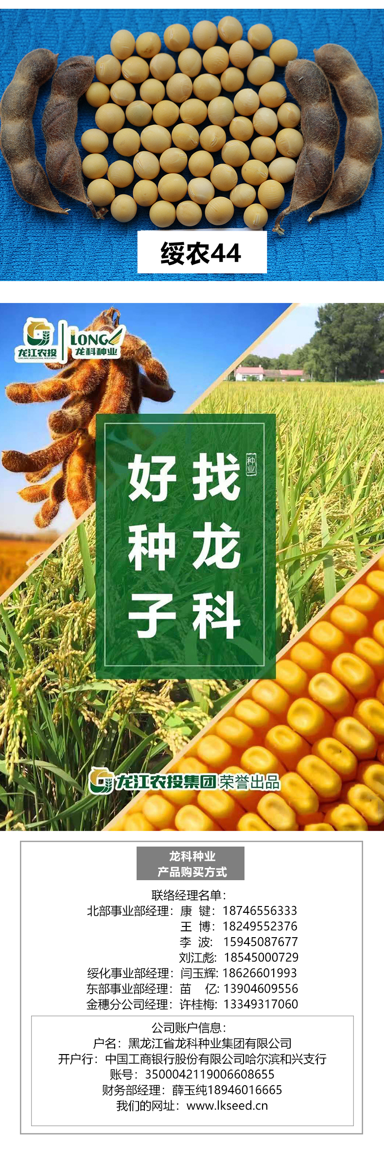綏農(nóng)44產(chǎn)品詳情_03.jpg