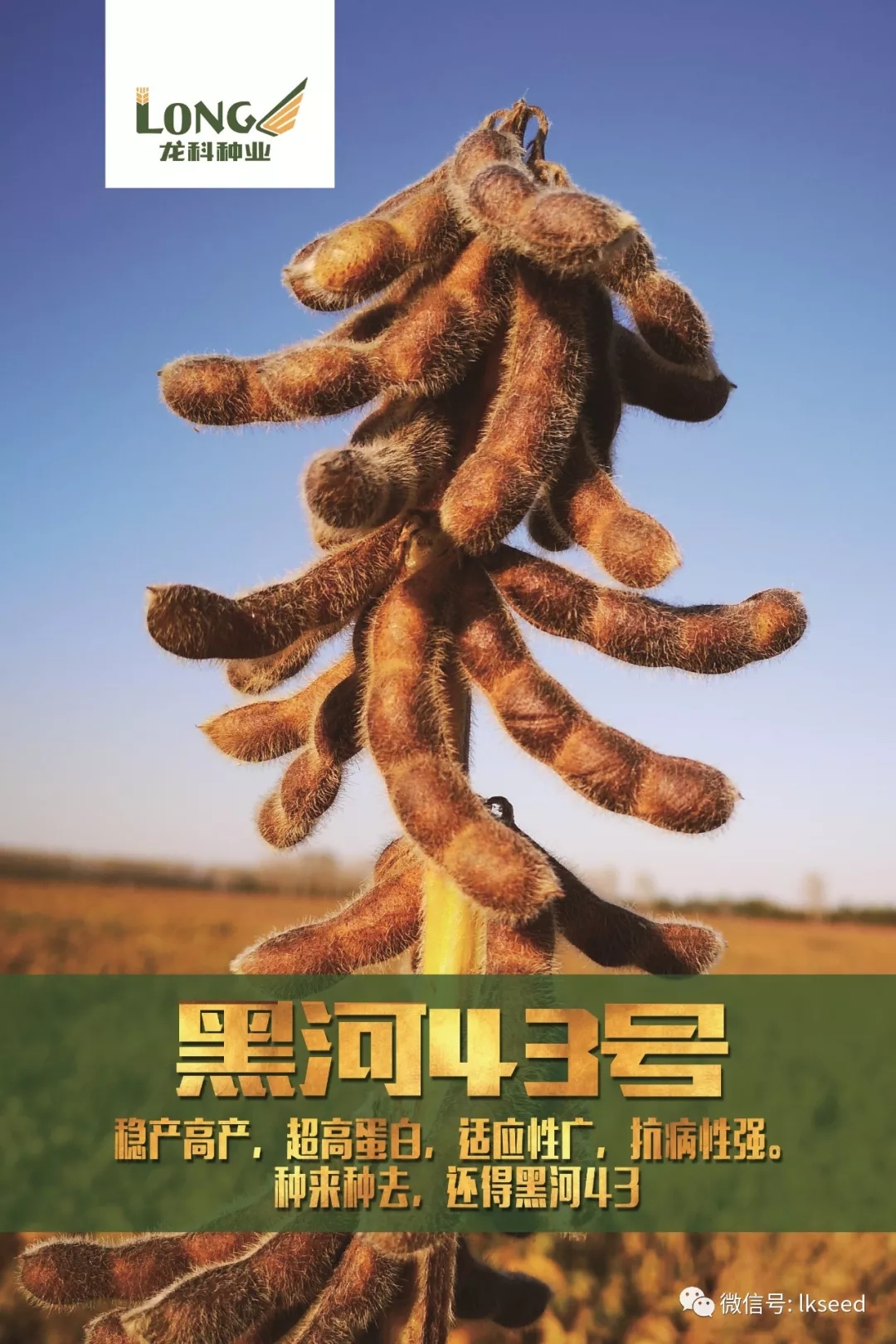 1590471872551819.jpg 640.webp (6).jpg